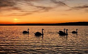 Lelle Balatonlelle 2*
